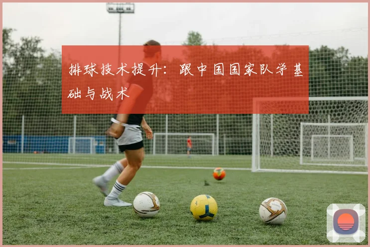 排球技术提升：跟中国国家队学基础与战术