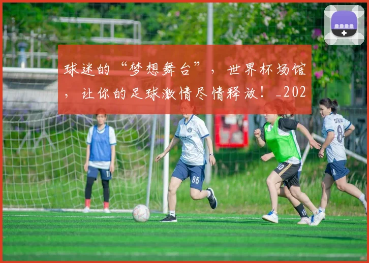 球迷的“梦想舞台”，世界杯场馆，让你的足球激情尽情释放！_20260708192442_20260802161338